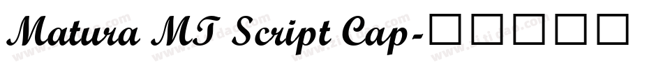 Matura MT Script Cap字体转换